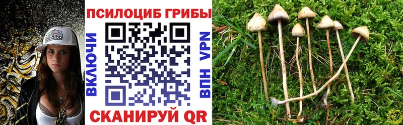 Галлюциногенные грибы GOLDEN TEACHER  darknet наркотические препараты  Старая Купавна  где можно купить  